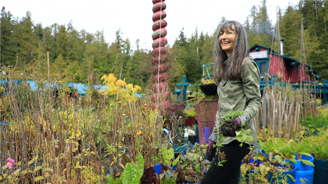 스틸 = KBS 고립낙원