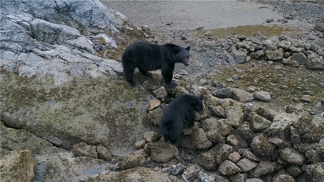 스틸 = KBS 고립낙원