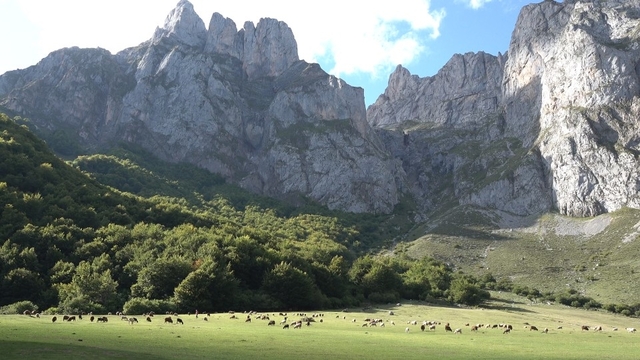 스틸 = KBS 걸어서 세계속으로