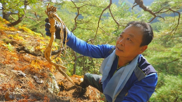 스틸 = EBS1 한국기행