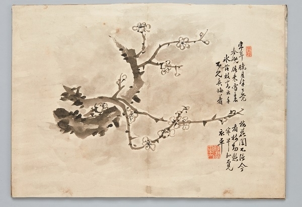 '서화첩' 속 매화도, 국립전주박물관 소장.