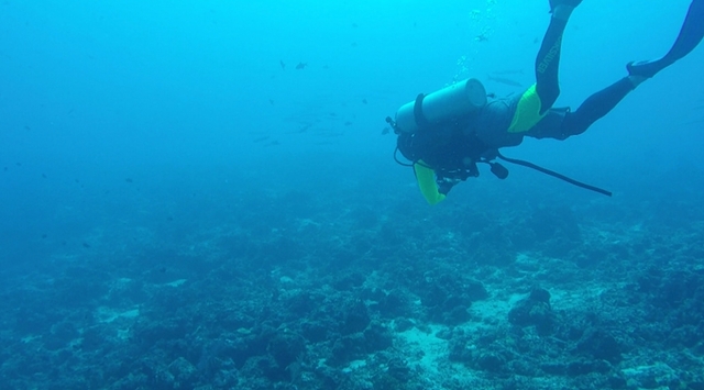 스틸 = EBS1 세계테마기행