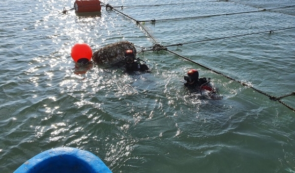 군산해경이 실종 선원 수색작업을 하고 있다. 사진제공= 군산해경.