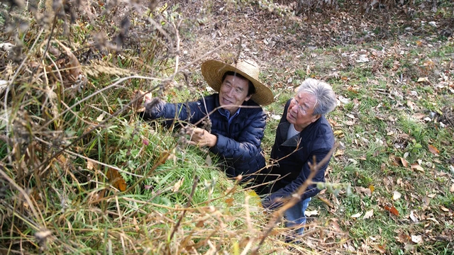 스틸 = KBS 한국인의 밥상