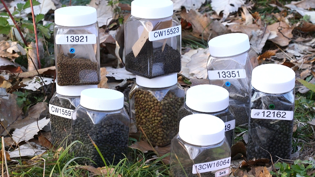 스틸 = KBS 한국인의 밥상