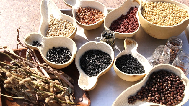 스틸 = KBS 한국인의 밥상