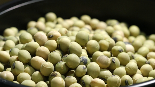 스틸 = KBS 한국인의 밥상