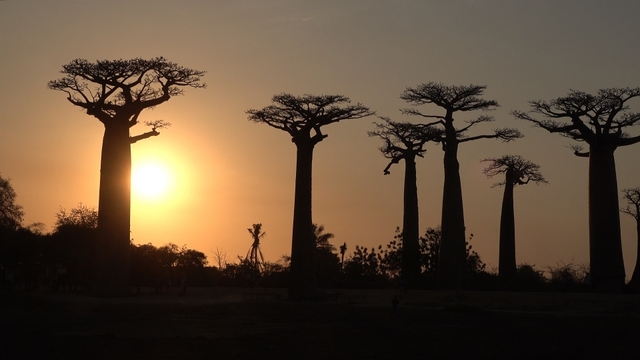 스틸 = KBS 걸어서 세계속으로