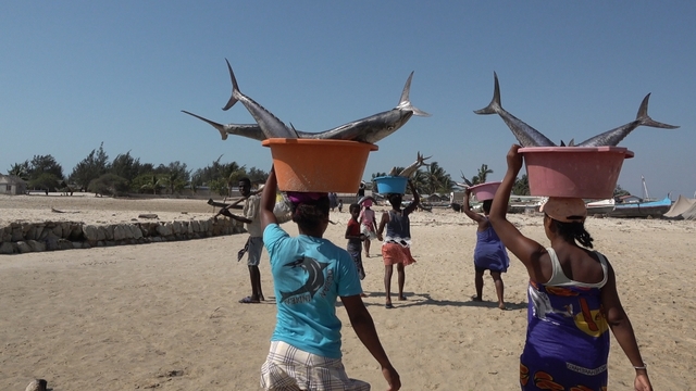 스틸 = KBS 걸어서 세계속으로