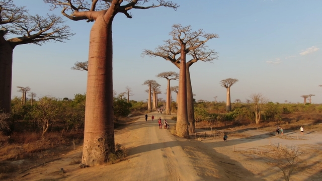 스틸 = KBS 걸어서 세계속으로