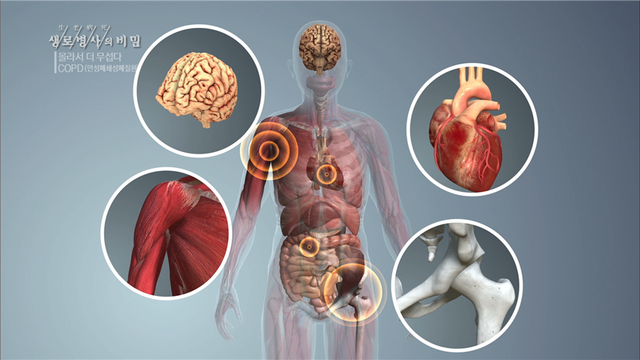 스틸 = KBS 생로병사의 비밀