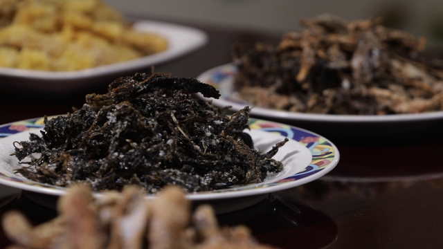 스틸 = KBS 한국인의 밥상