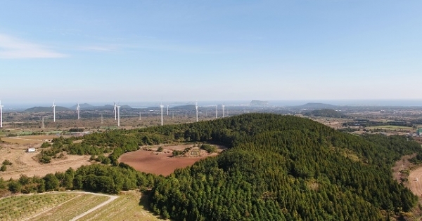 서귀포시 성산읍 수산리 궁대오름