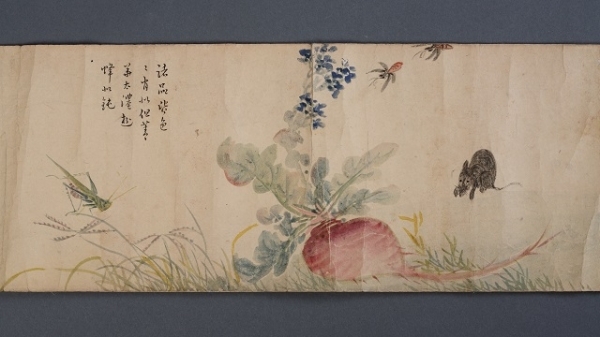 무를 갉아먹는 쥐(어해화사도권축세부, 김인관, 조선중기, 국립중앙박물관 소장)