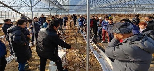 지난 5일 진안군농업기술센터가 전국에서 모인 40여 농가를 대상으로 체리 전정기술 현장교육을 실시했다