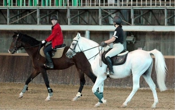 한국마사고등학교가 2020학년도 신입생 기수과 10명을 오는 2월 6일, 7일 양일간 추가 모집한다.