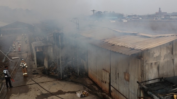 지난 25일 불이 난 김제시 공덕면의 한 양계장. 사진=전북소방본부 제공.