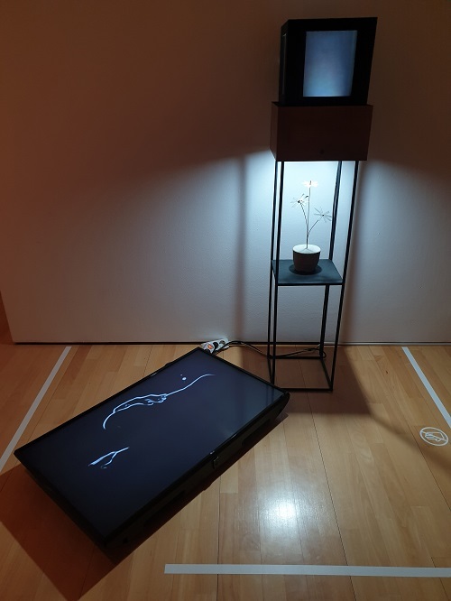 권순환(1957~ ), 철프레임·홀로그램·LED조명·콘크리트 화분·동작센서·모니터, 160×120×40cm 5min 20sec, 2019.