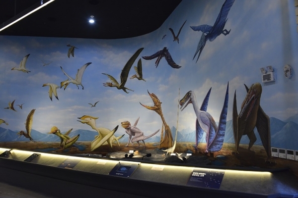 익룡발자국 전시실에 그려진 공룡 그림.