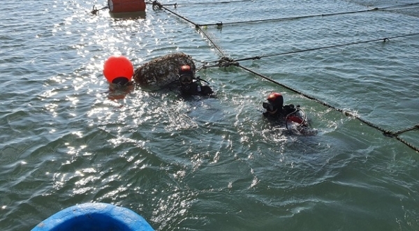 지난해 11월 해경 구조대원들이 군산 무녀도 전복 선박의 실종 선원을 찾기 위한 수중수색을 하고 있다.