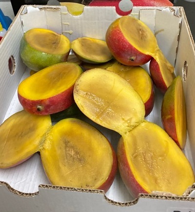 상한 애플 망고. 사진=제보자 제공