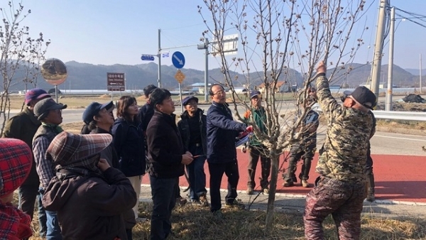 완주군이 아름다운 무궁화 100리길(17번 국도)을 국민들에게 보여드리기 위해 전지 및 정비작업에 들어갔다