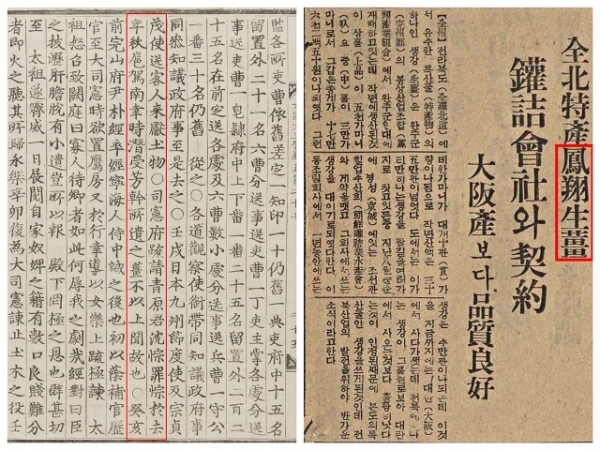 '조선왕조실록' 1414년(태종14년) 생강사건에 관한 기록과 '매일신보' 1938년 기사