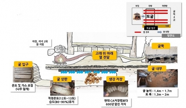 완주 봉동 온돌식 생강저장굴의 과학적인 전통농업시스템(국가중요농업유산 제13호). 사진제공=완주군