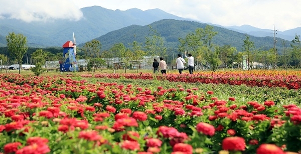 남원 지리산 허브밸리. 전북일보 자료사진