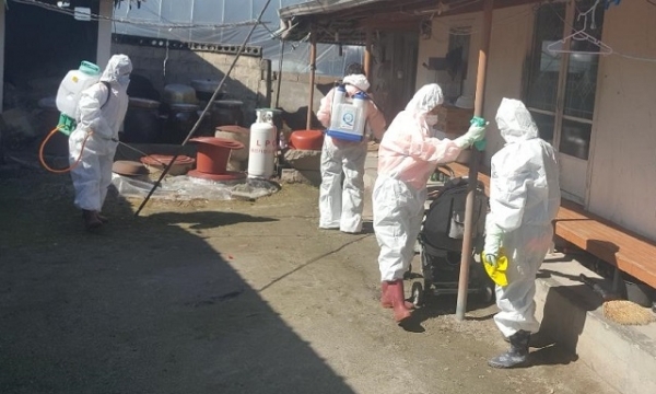 지난 11일부터 남원시 사매면 여성의소방대가 코로나19 방역 봉사활동을 펼치고 있다.