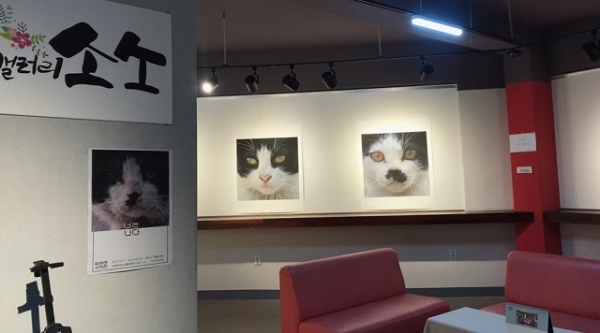 길고양이 사진전 ‘너는 나다’