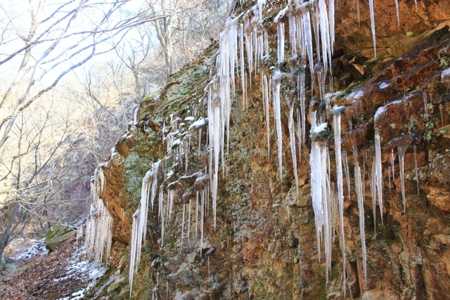 화암사 계곡에 달린 고드름(2020. 2. 19)