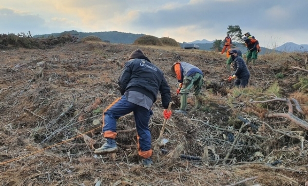 17일 고창군이 5억2100만원을 들여 조림사업을 본격 추진한다고 밝혔다.