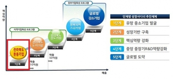 전북도 성장사다리 육성 체계.