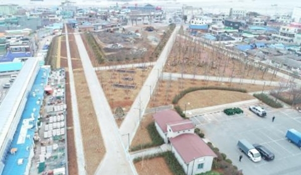 군산 도시재생숲.