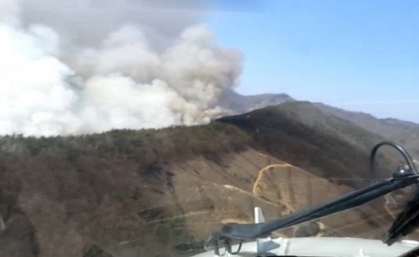 24일 진안군 정천면 모정리 인근 야산에서 산불이 발생했다. 사진제공= 산림청.
