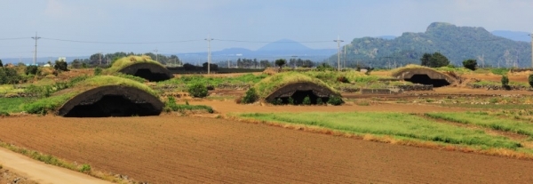 태평양전쟁 당시 일제가 설치한 알뜨르비행장 격납고.