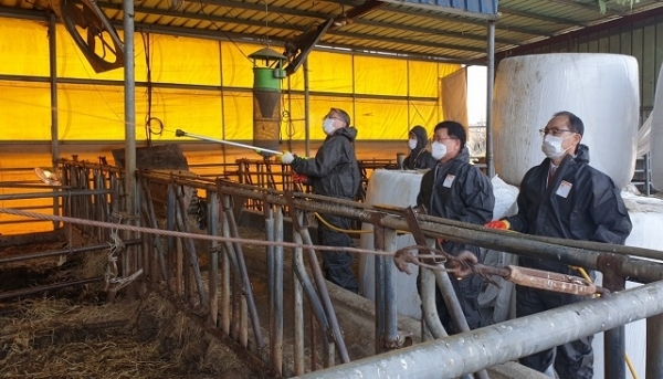 지난 9일 농협중앙회 정읍시지부와 순정축협 공동방제단이 축산농가에서 방역활동을 실시했다.