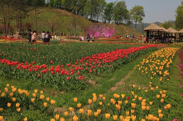 탈 일상의 전원체험 공간, 용인농촌테마파크. 사진제공=경기관광공사