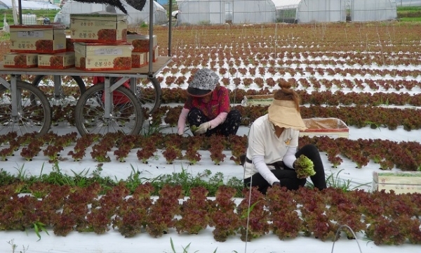 남원시가 5월 1일부터 6월 30일까지 농지 소재지 읍·면·동사무소에서 '공익직접지불제' 지원사업 접수를 받는다.