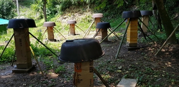 남원시가 관내 토종벌 사육 농가에 낭충봉아부패병 저항성 토종벌 보급 지원비를 군당 최대 30만원까지 지급한다.