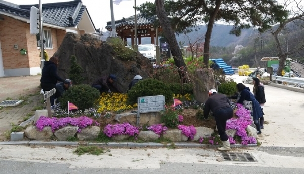 진안군 마을간사협의회가 진안읍 상가막마을에서 화단 제초 작업을 하고 있다.