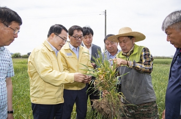 지난 8일 정헌율 익산시장이 밀과 보리 등 농작물 저온피해를 입은 농가를 찾아 피해 상황을 살피고 있다.