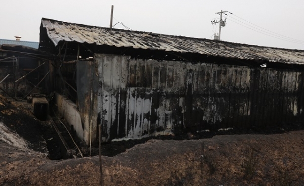 지난 8일 익산시 망성면의 한 돼지농장에서 화재가 발생했다. 사진제공= 익산소방서.