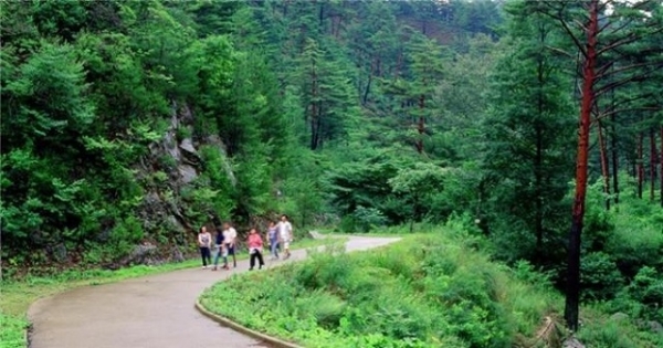 전북도 산림환경연구소가 안정적인 산림경영기반 구축을 위한 ‘제5차 임도(林道) 설치 계획(2021년~2025년)’을 수립했다.