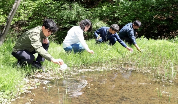 13일 무주군이 반딧불이 서식지 복원과 개체 수를 늘리기 위해 반디랜드 내 반딧불이 관찰지와 복원지 등 2곳에서 반딧불이 유충 4000여 마리와 반딧불이 먹이로 알려진 다슬기 20kg을 방사했다.