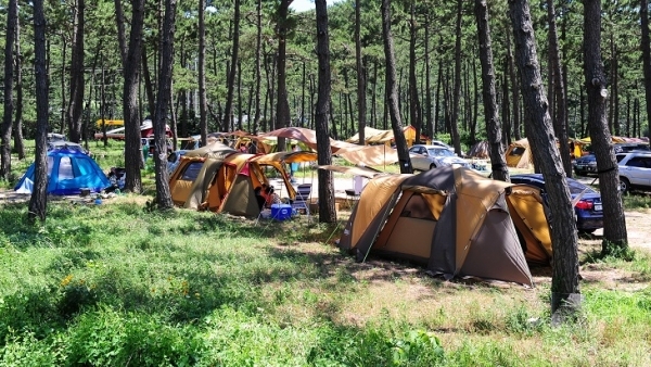 고창 구시포 캠핑장.