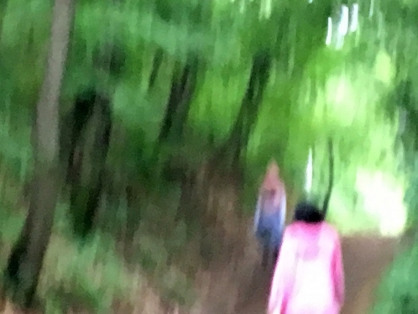 김지연 사진가가 찍은 건지산의 풍경. 봄에서 여름으로 넘어가는 계절의 변화가 느껴진다.