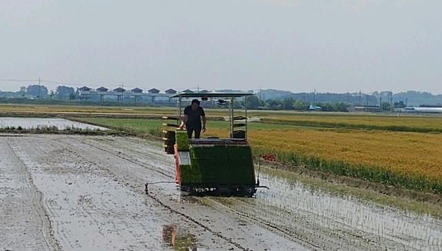 직진자율주행 이앙기 시연회 모습.