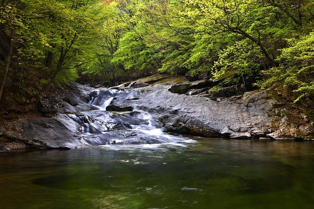 비파담(구천동 19경).